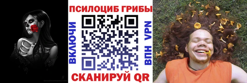 Псилоцибиновые грибы мицелий  Заинск 
